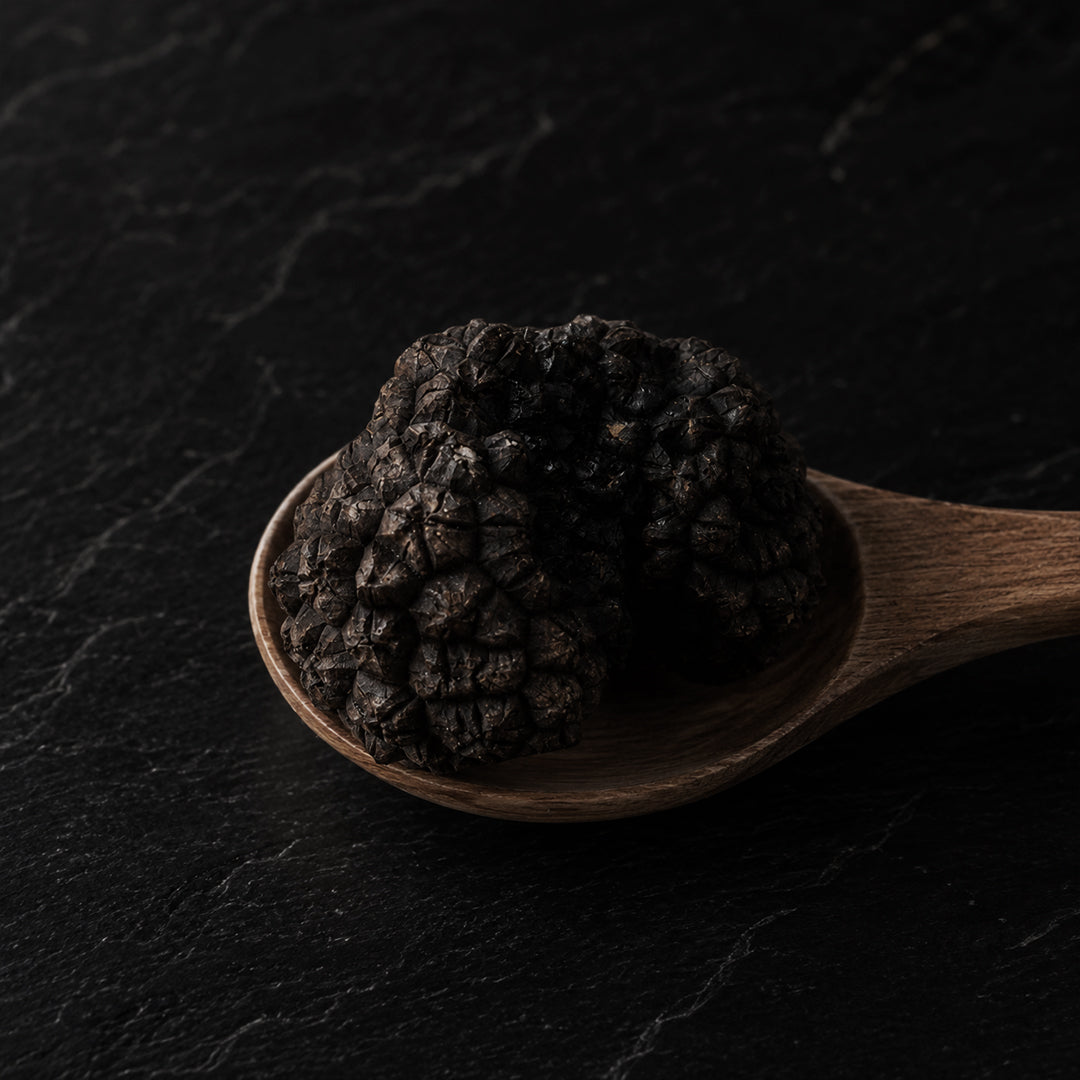 Fresh Autumn Truffle - Tuber Uncinatum