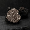 Fresh Bagnoli Truffle Mesentericum