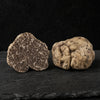 Fresh White Bianchetto truffles Tuber Borchii