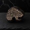 Fresh black musky truffles Brumale