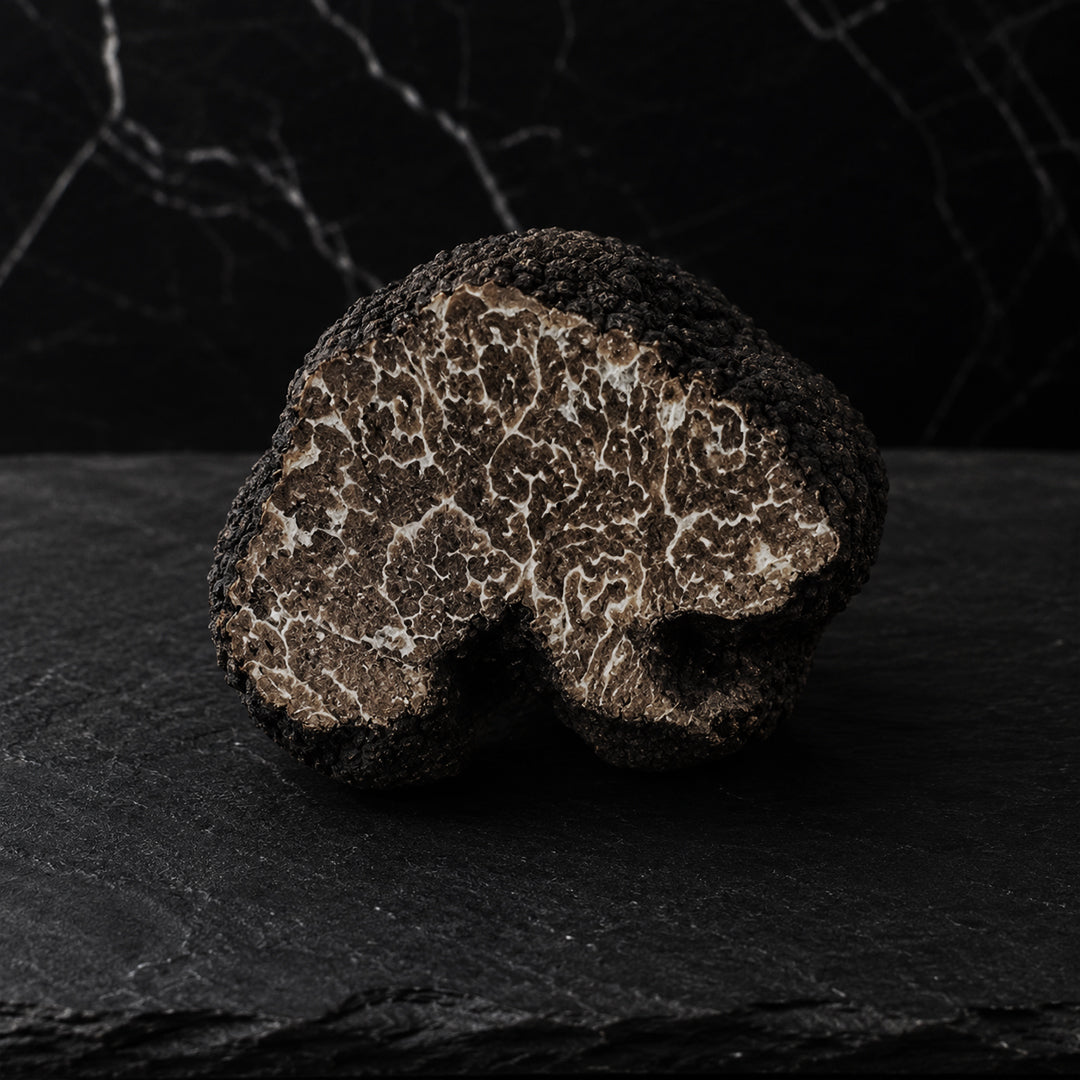 Fresh black musky truffles Brumale