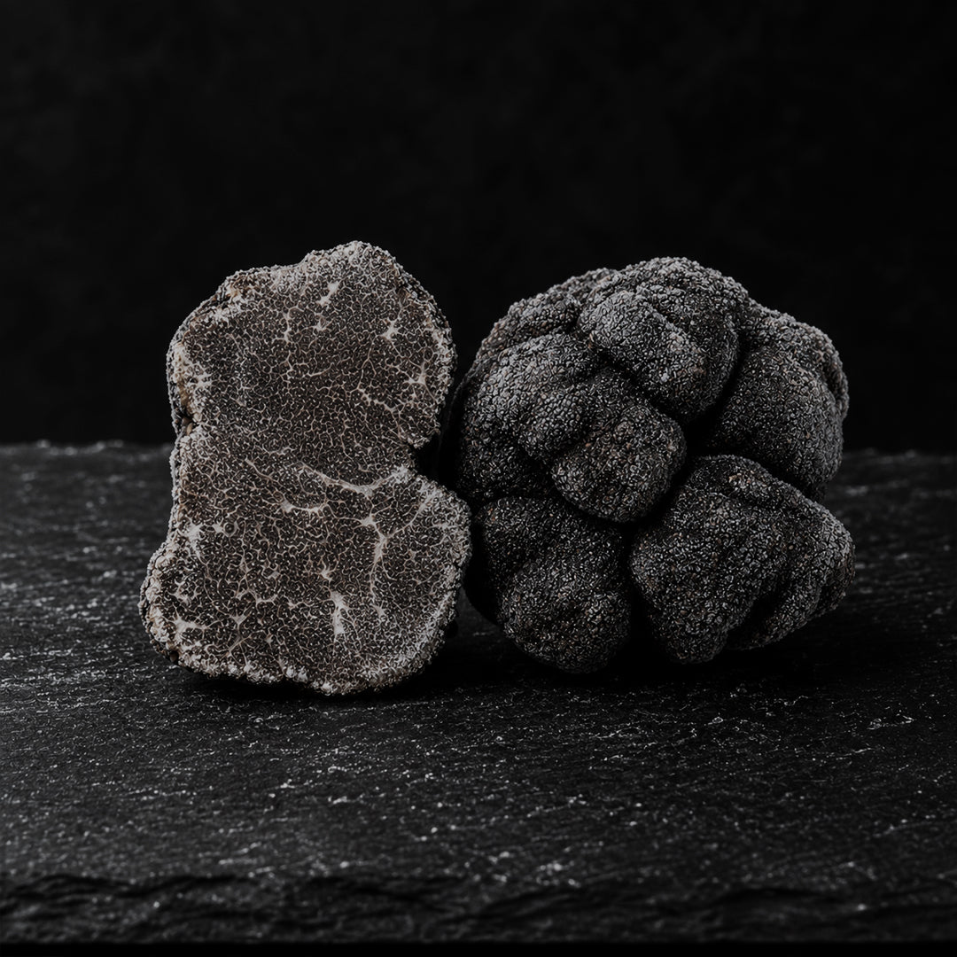 Frozen Black Truffles Macrosporum
