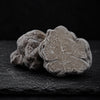 Frozen White Truffles Magnatum