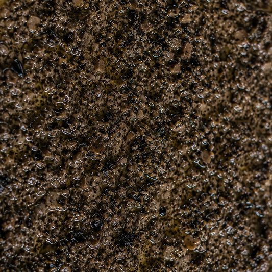 Tartufata - Summer Truffle Sauce
