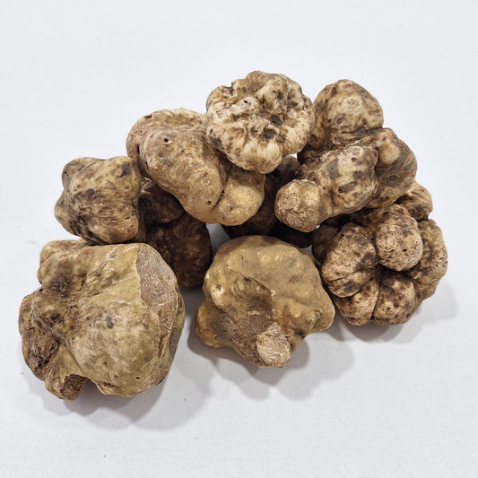 Frozen White Truffles Magnatum