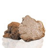 Frozen White Truffles Magnatum