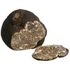 Fresh Smooth Black Truffle Macrosporum