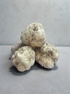 Fresh White Truffle - Tuber Magnatum