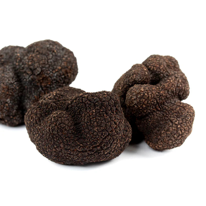 Fresh Black Truffles Melanosporum