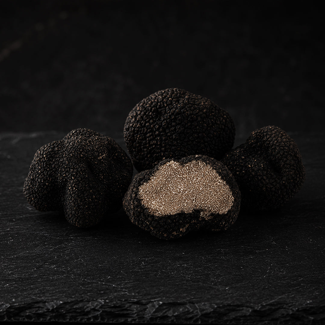 Fresh Autumn Truffle - Tuber Uncinatum