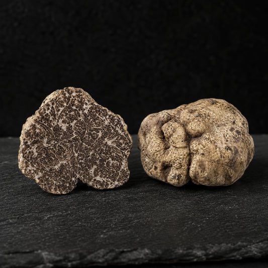 Fresh White Bianchetto truffles Tuber Borchii