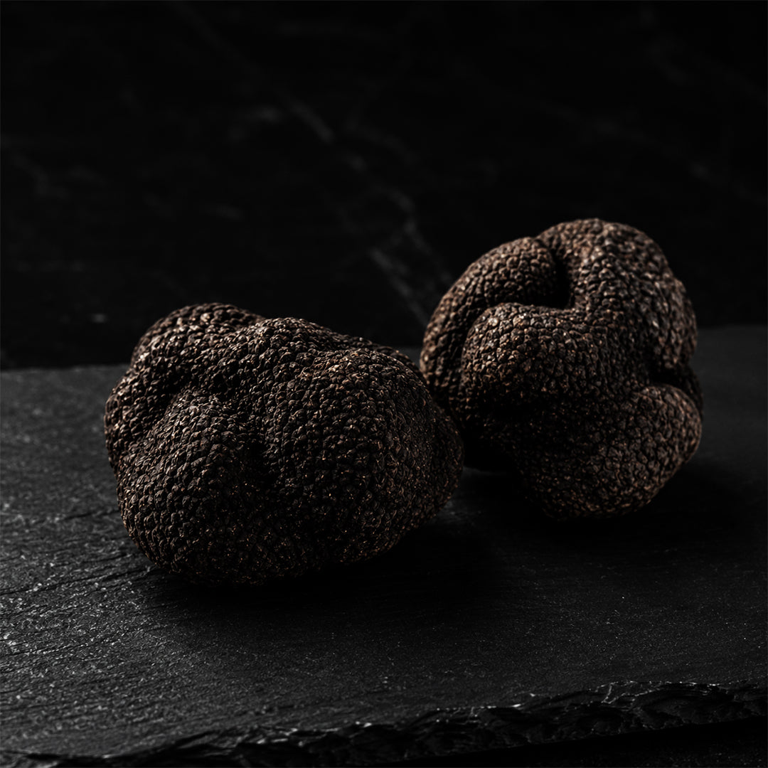 Fresh Black Truffles Melanosporum