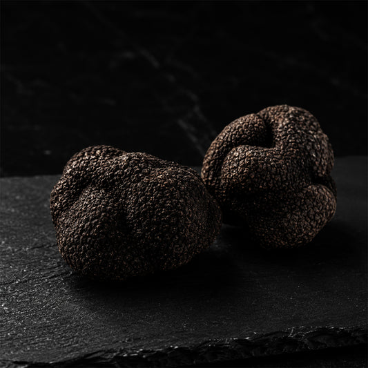 Fresh Black Truffles Melanosporum