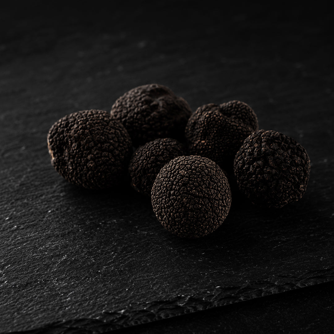 Fresh Black Truffles Melanosporum