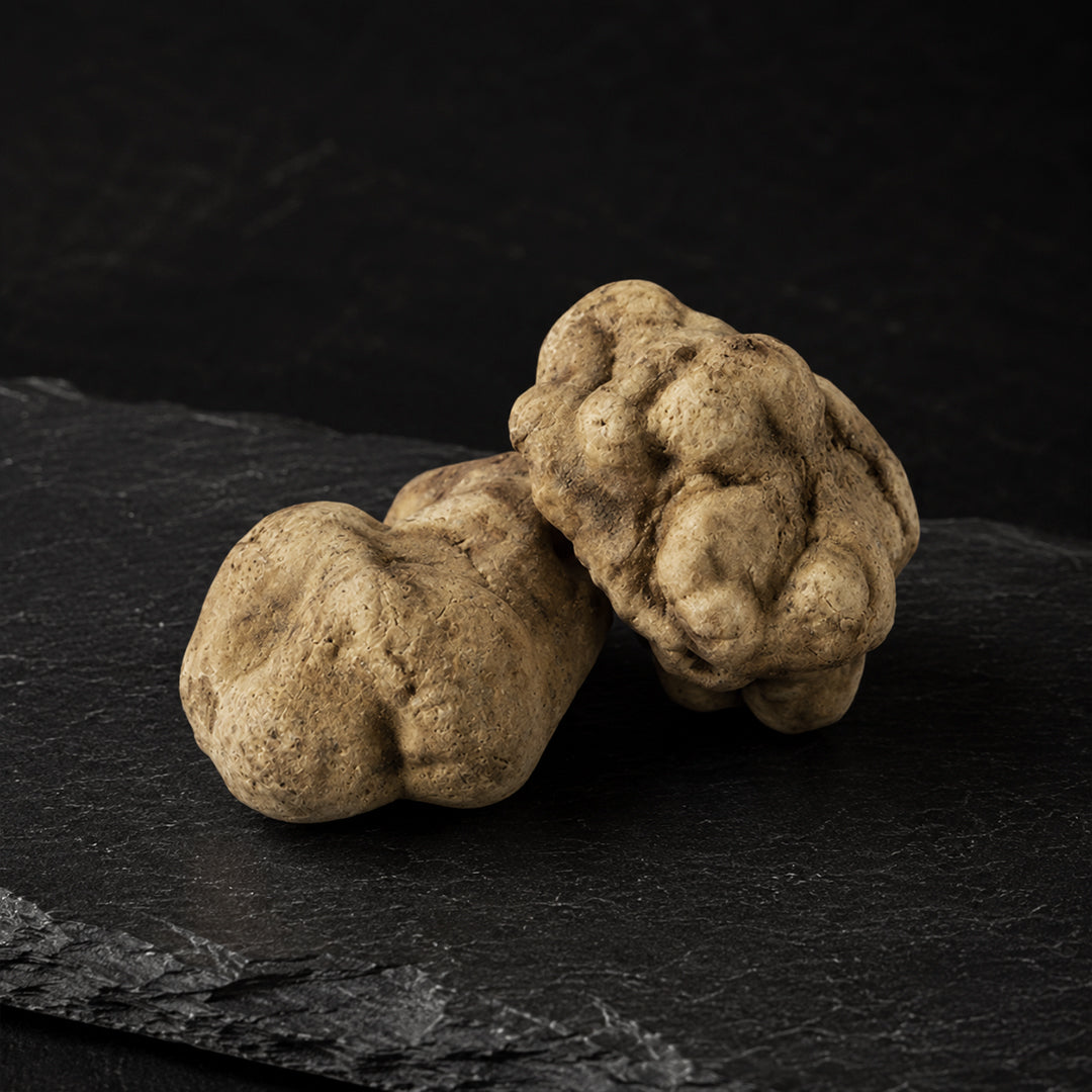 Fresh White Truffle - Tuber Magnatum