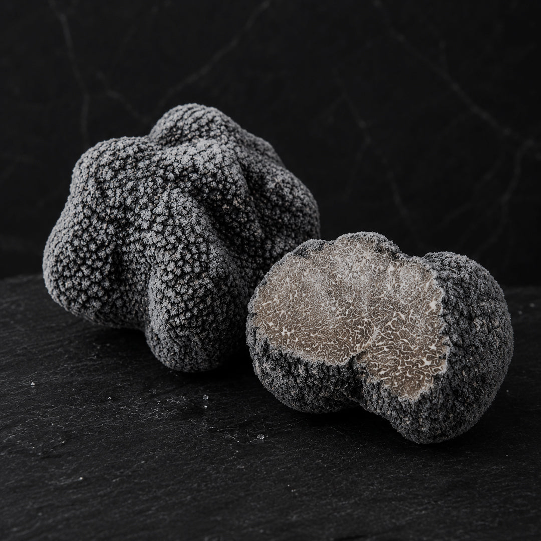 Frozen Burgundy Truffles (Tuber Uncinatum)