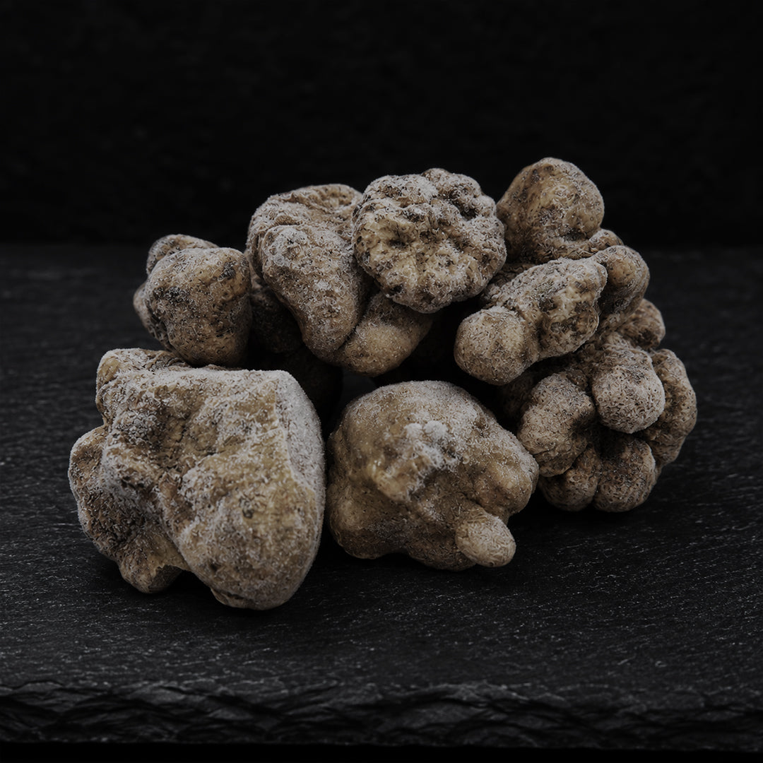 Frozen White Truffles Magnatum