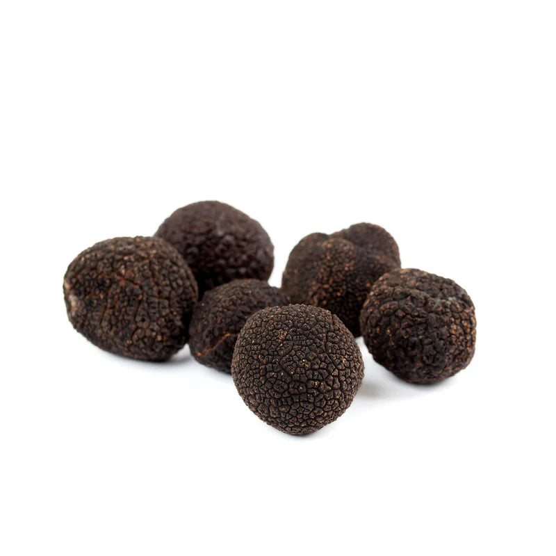 Fresh Black Truffles Melanosporum