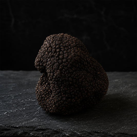 Fresh Summer Truffle - Tuber Aestivum