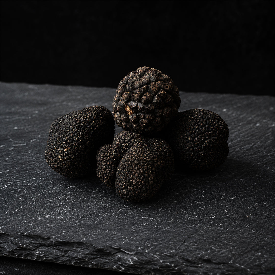Fresh Summer Truffle - Tuber Aestivum