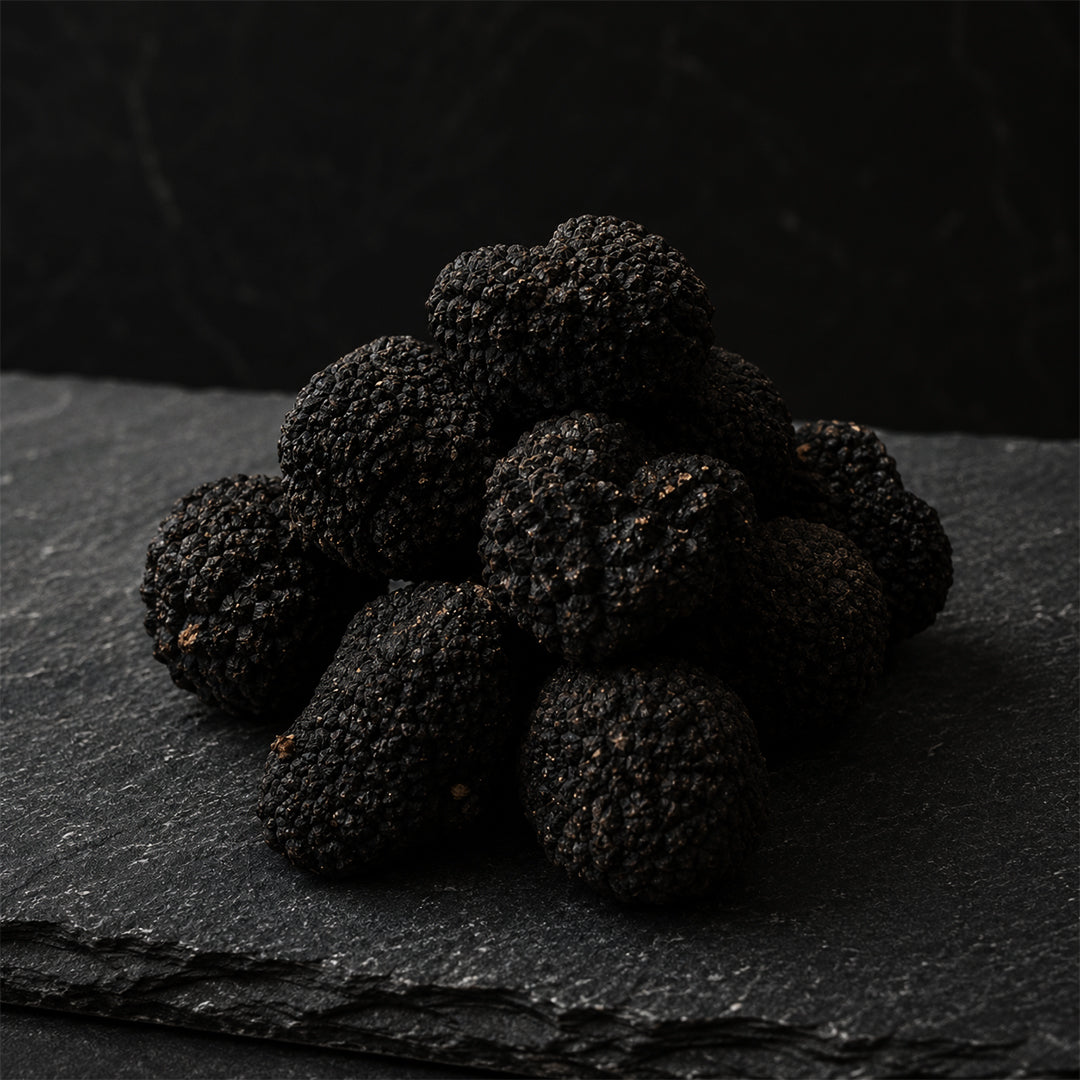 Fresh Summer Truffle - Tuber Aestivum