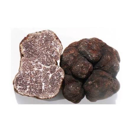 Frozen Black Truffles Macrosporum
