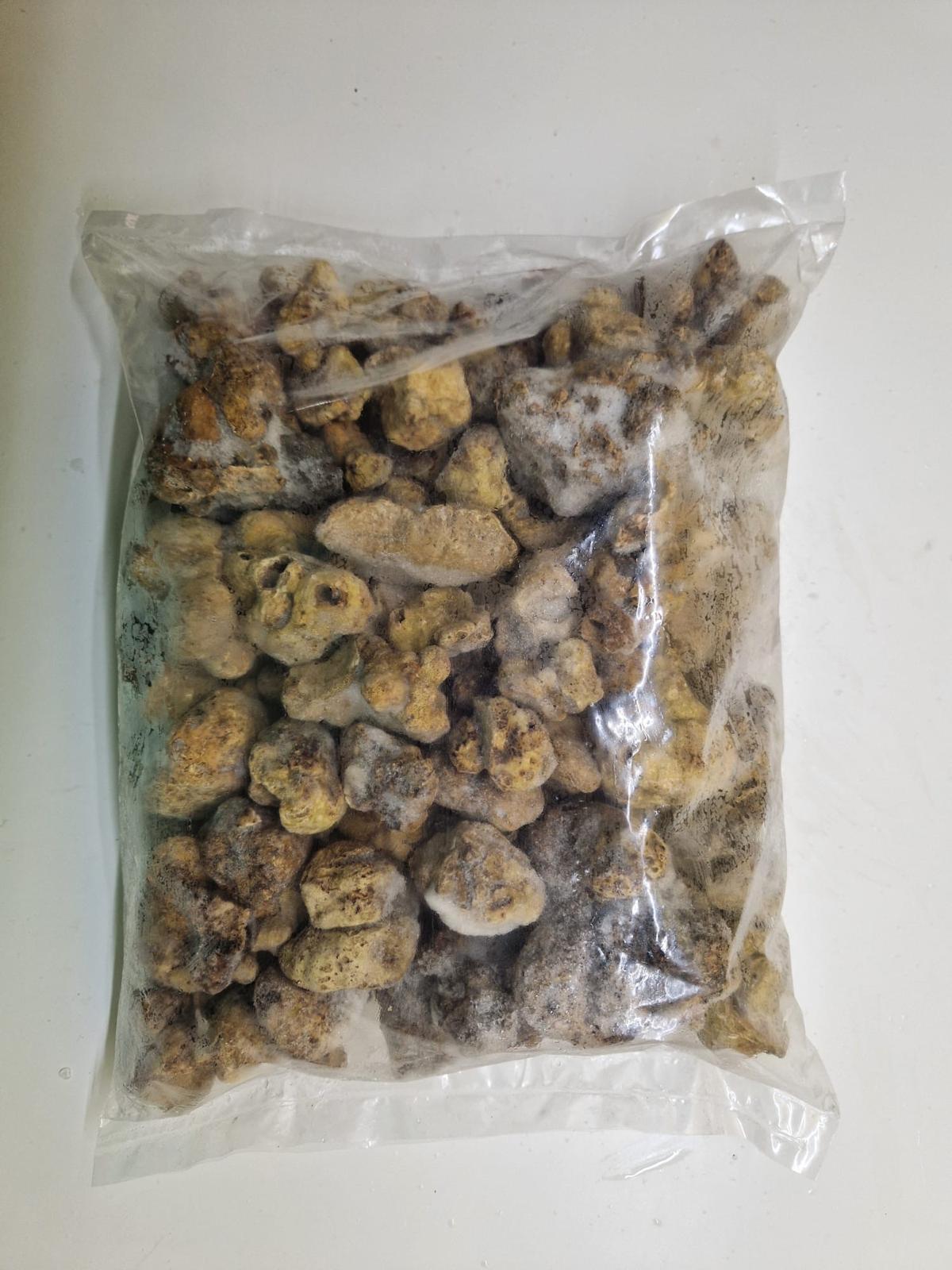 Frozen White Truffles Magnatum