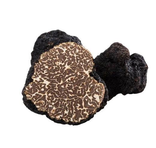 Fresh Bagnoli Truffle Mesentericum