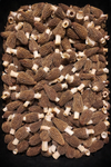 Morel Mushrooms