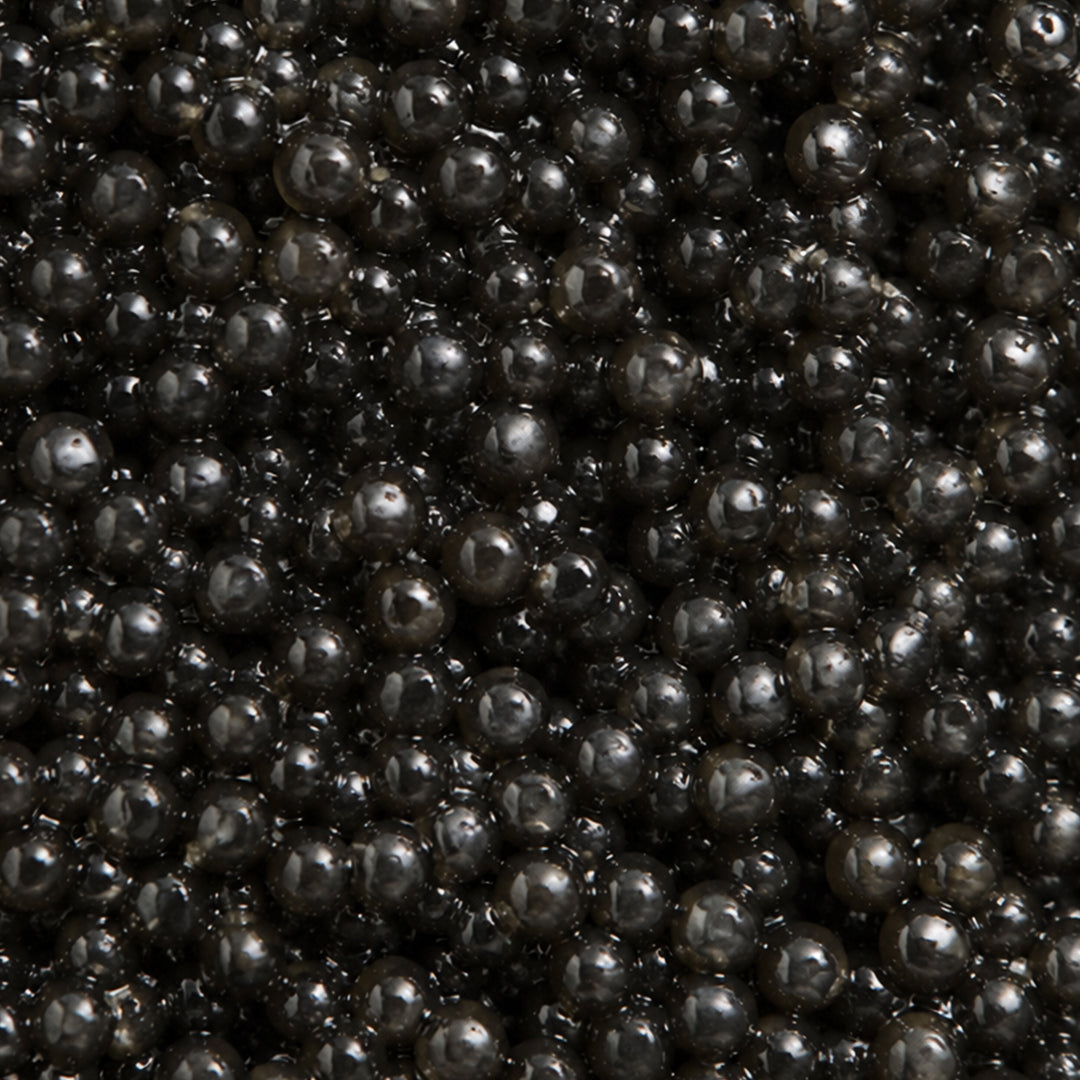 Black Truffle Pearls